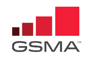 Best Mobile Innovation for Women in Emerging Markets, GSMA Award